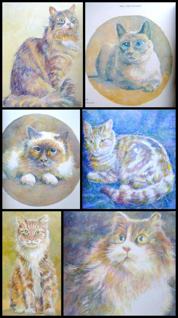 CROSS STITCH CATS Patterns SIAMESE TABBY MAINE COON ++