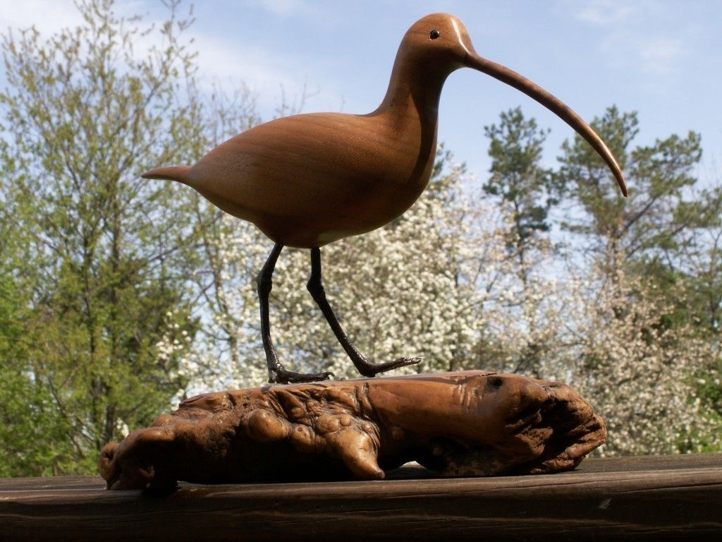 Beautiful Bruce Stamp Carved Curlew