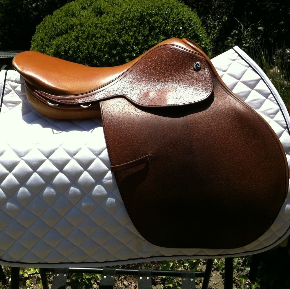  Harry Dabbs Prix D Saddle 16 5