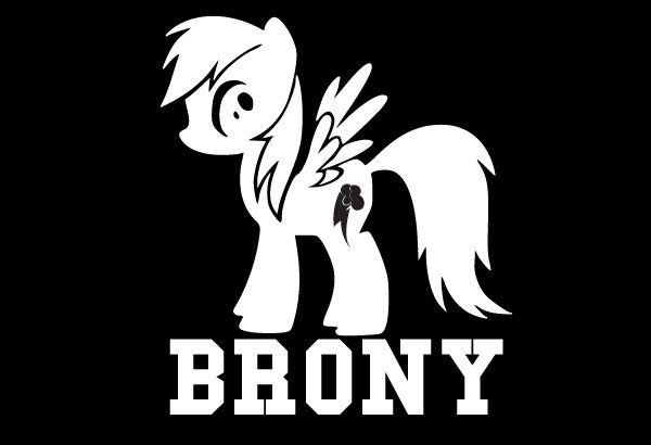  Pony Friendship Is Magic Rainbow Dash Brony Vinyl Decal MLP FIM