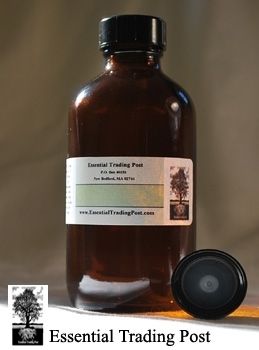 Camphor White Oil Essential Trading Post Oils 4 Oz