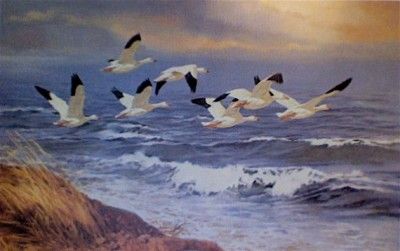 snow geese print from remington portfolio