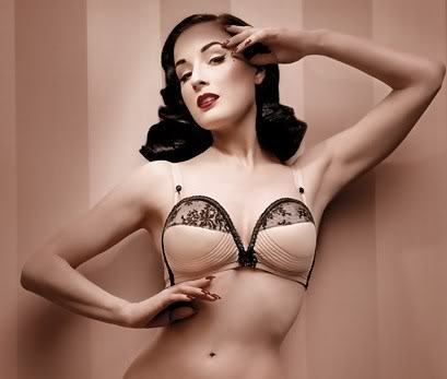 BNWT WONDERBRA DITA VON TEESE SILVER VINTAGE SATINE OVERWIRE BRA SIZE