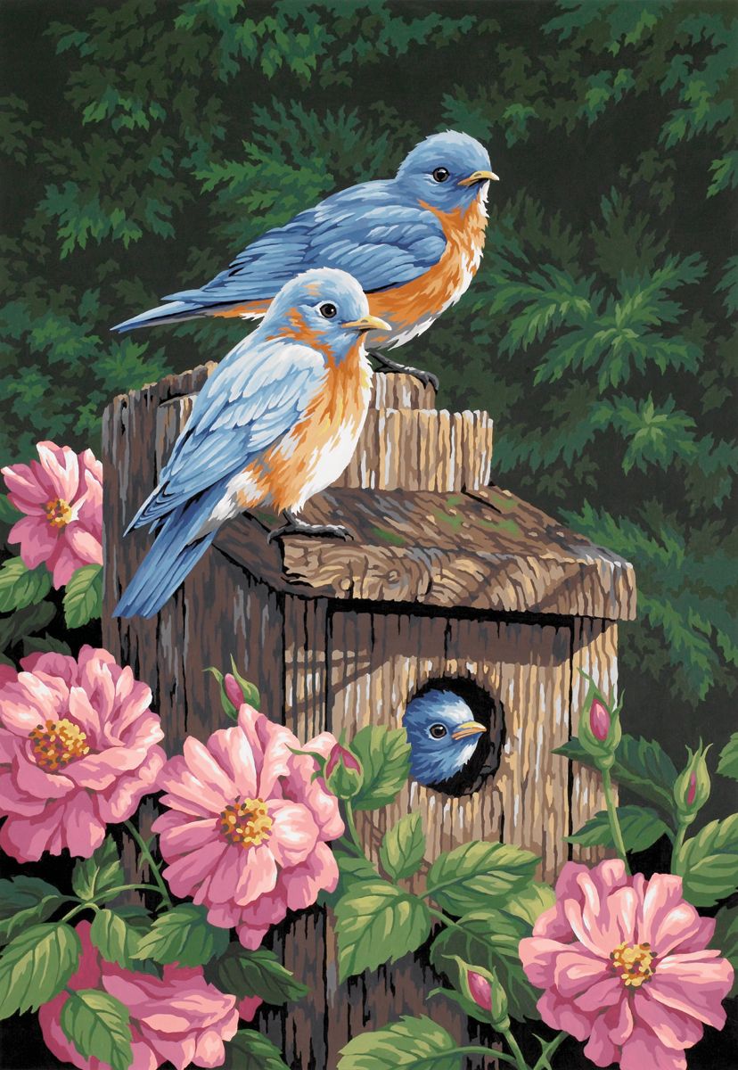 Garden Bluebirds Paint By Number Kit 14 X20 91401