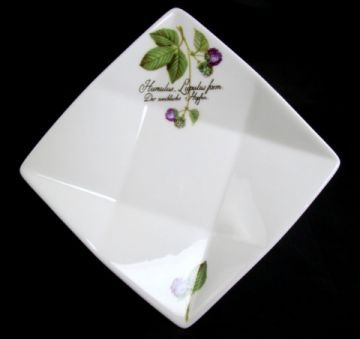 Hop Plant Relish Dipping Dish w/ German & Latin Saying