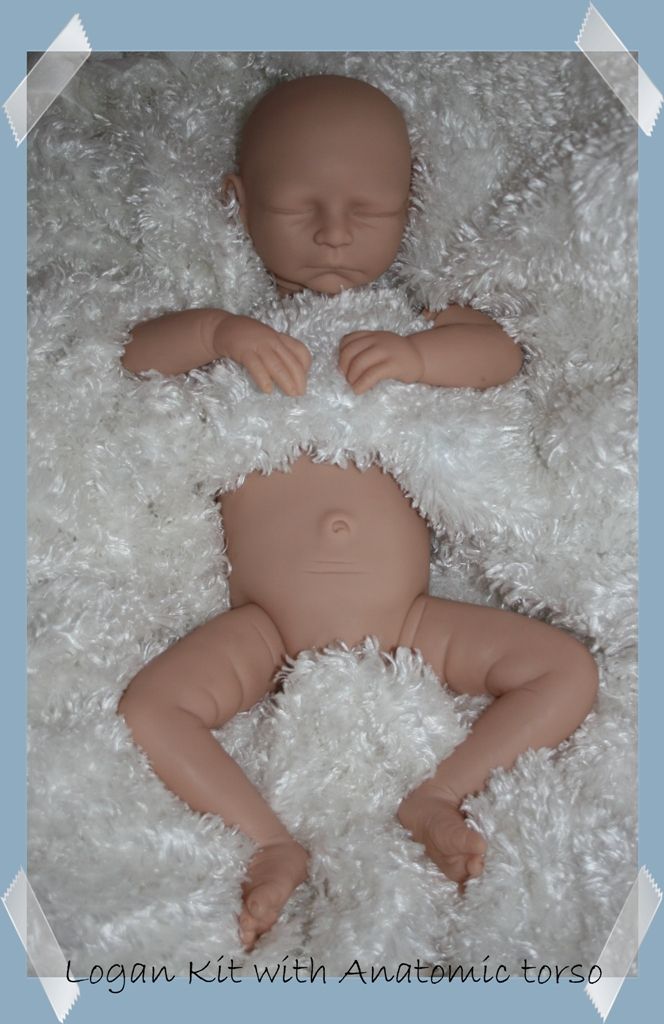 LOGAN VINYL REBORN DOLL KIT ~ ANATOMICAL CORRECT TORSO~