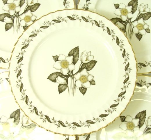 12 Royal Worcester Dinner Plates Engadine Pattern