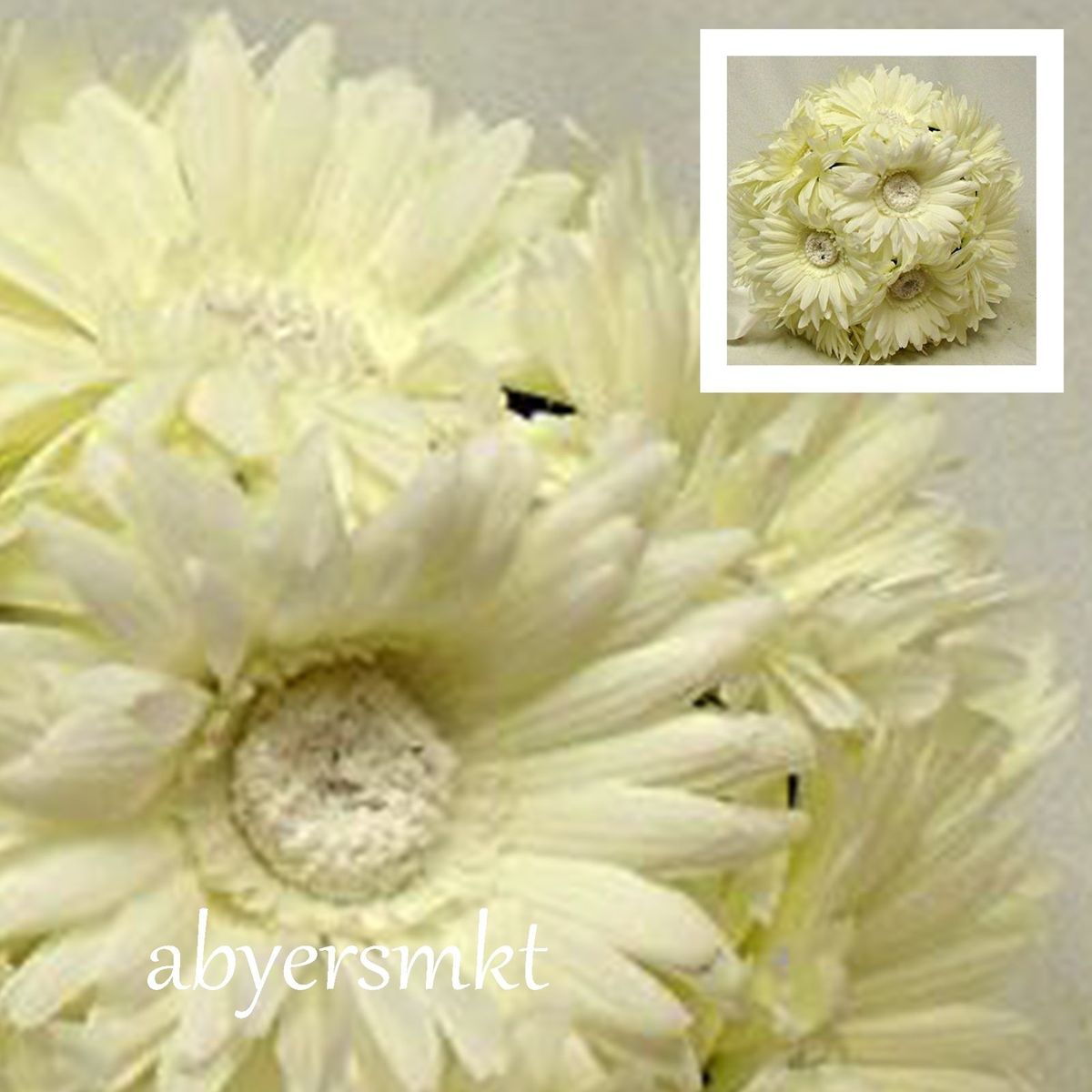 in Gerbera Daisy Kissing Ball CREAM Daisies Silk Flowers, Wedding