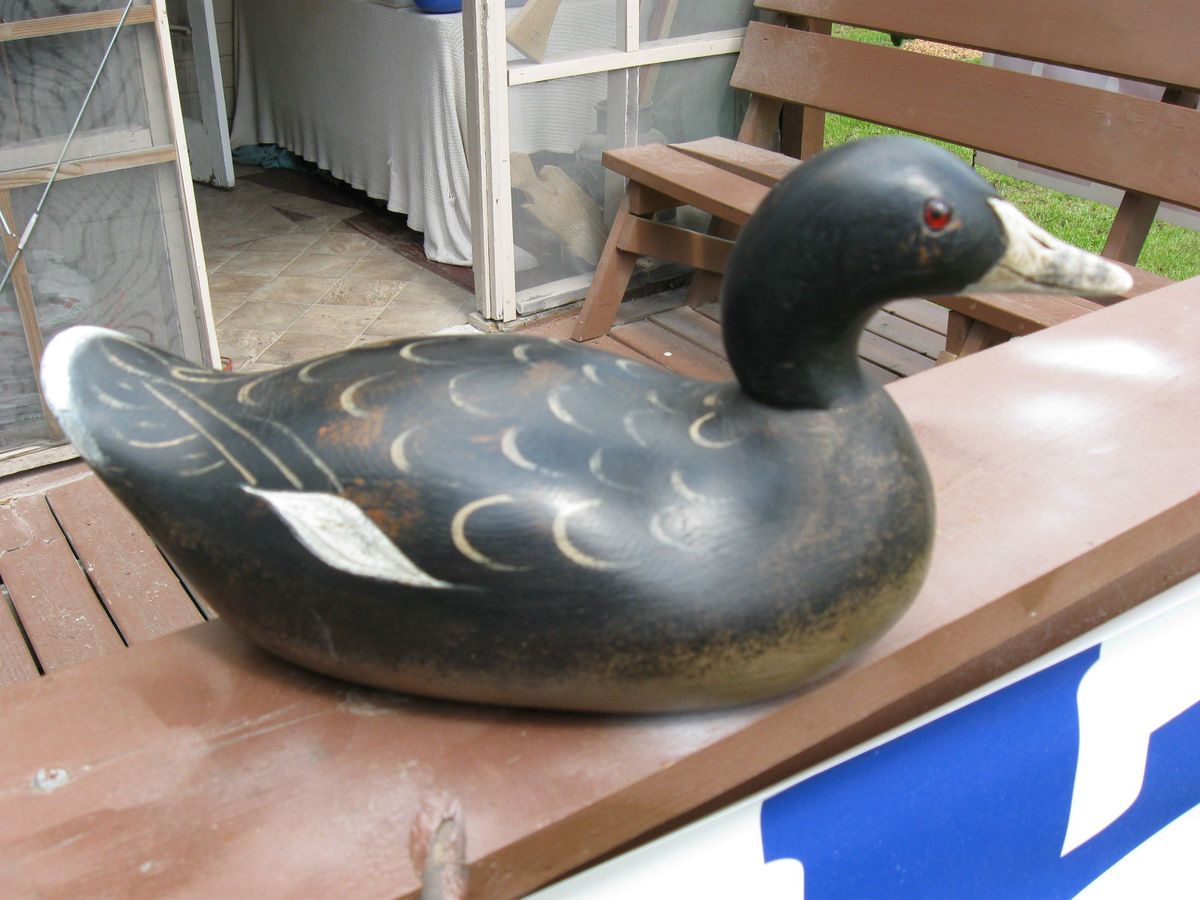 More Than RARE Mason Duck Decoy Challenge Black Coot