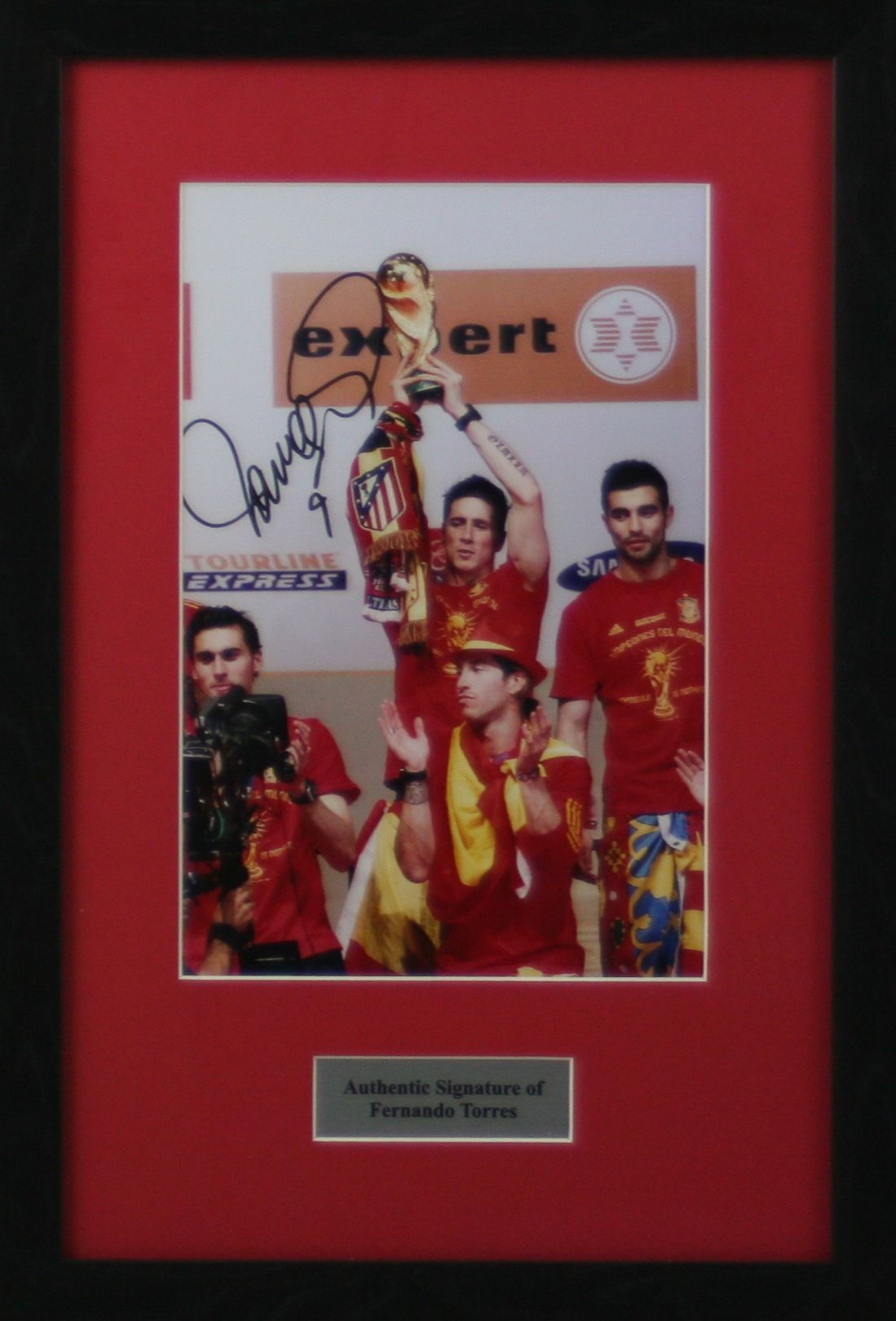 Fernando Torres Signed Spain Display