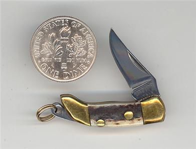 miniature jaguar italy stag handle jack knife