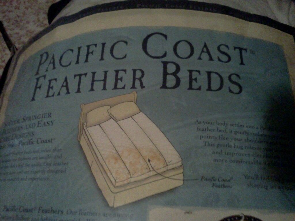Pacific Coast Euro Rest Featherbed
