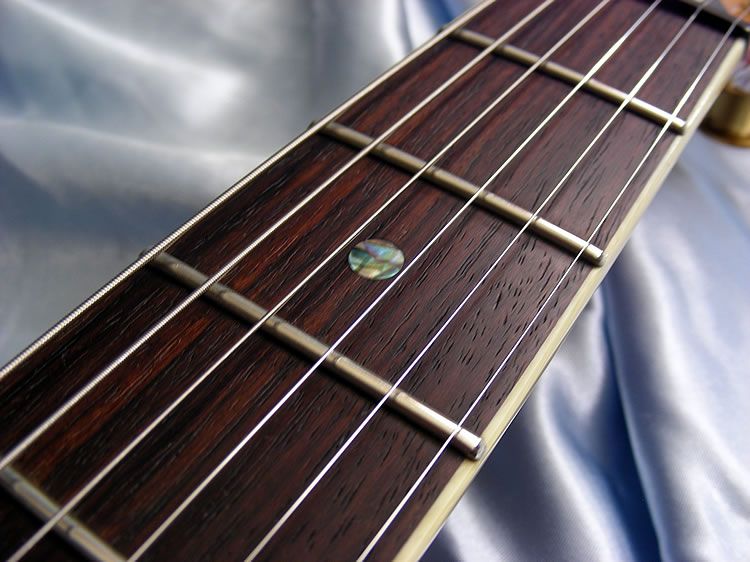  Guitars i2000 Series i2 Seymour Duncan PUs w/ Paul Reed Smith Gigbag