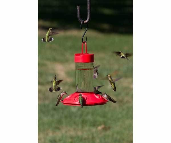 Hummingbird Feeder Glass Dr JBs 16 oz Clean Feeder All Red Free