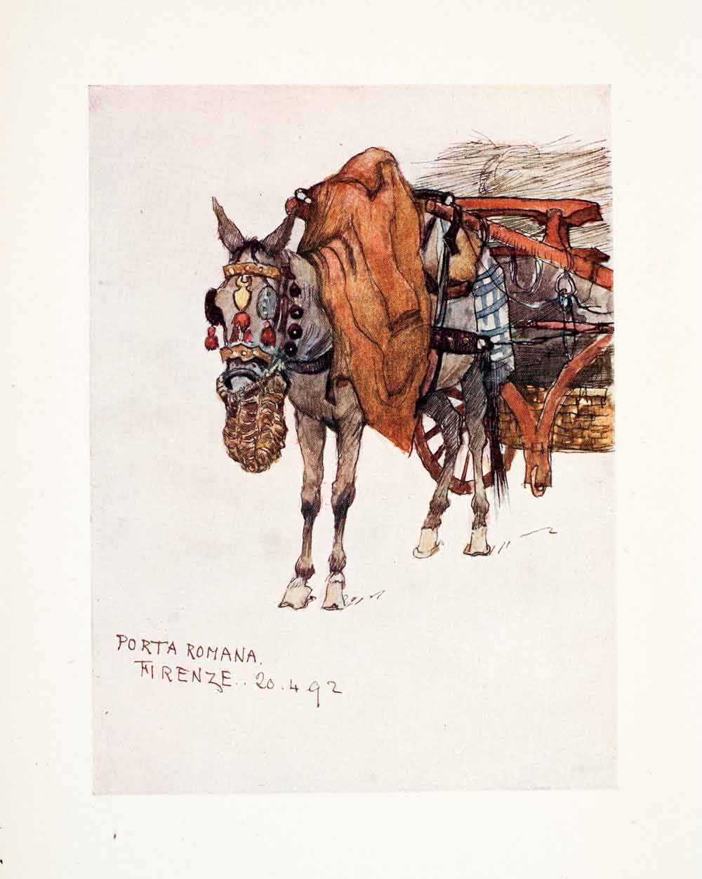 1905 Color Print Goff Florence Tuscany Italy Mule Donkey Burro Harness