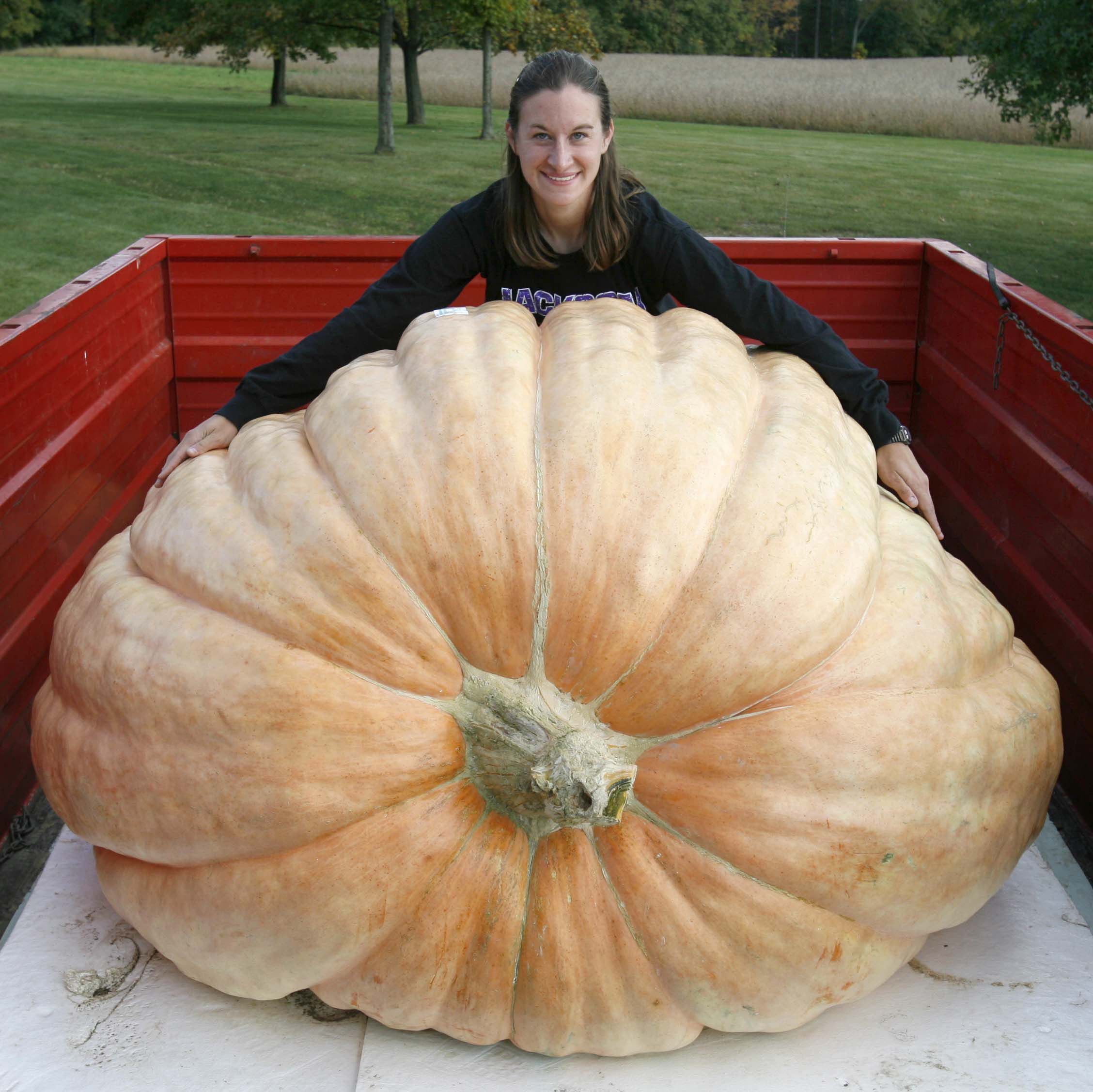  de Potiron Geant Atlantic Giant Atlantic Giant Pumpkin Seeds