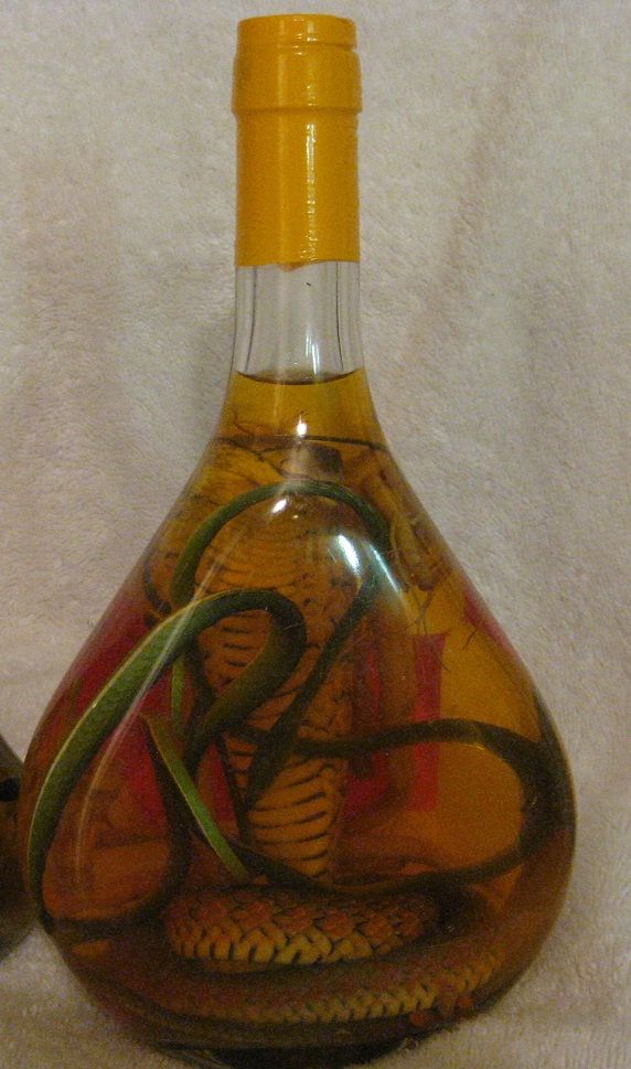 King Cobra Snake Wine Viper Green Snake Taxidermy LRG