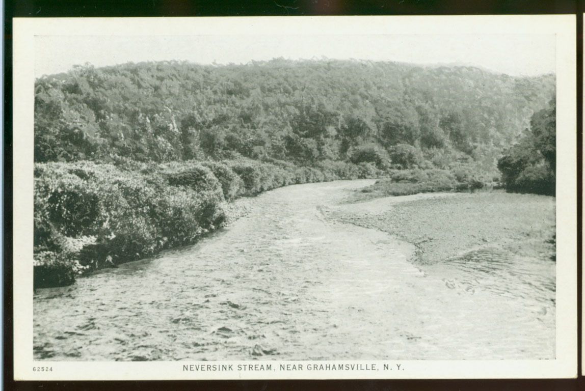 Neversink Stream Near Grahamsville NY