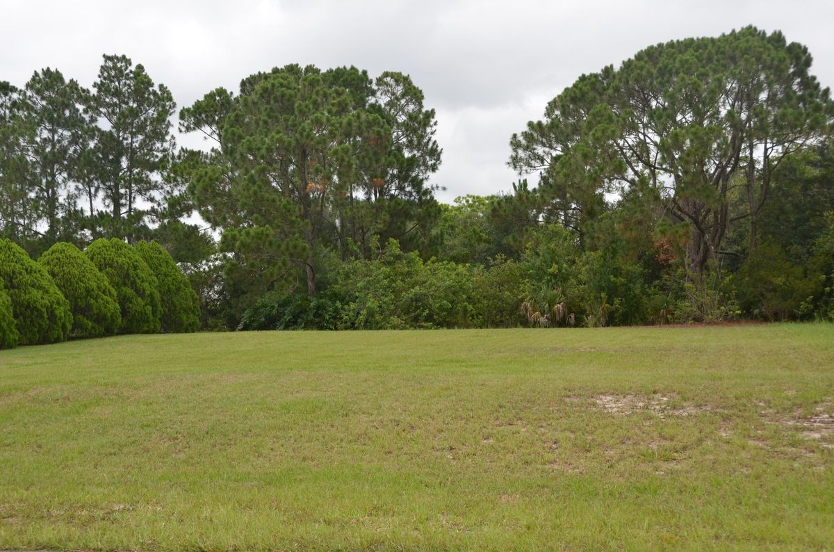 Lake Placid Florida Lot 80 x 125 Lot on Canal to Lake Grassy