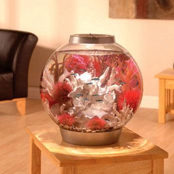 Biorb Silver Aquarium Kit with Light New