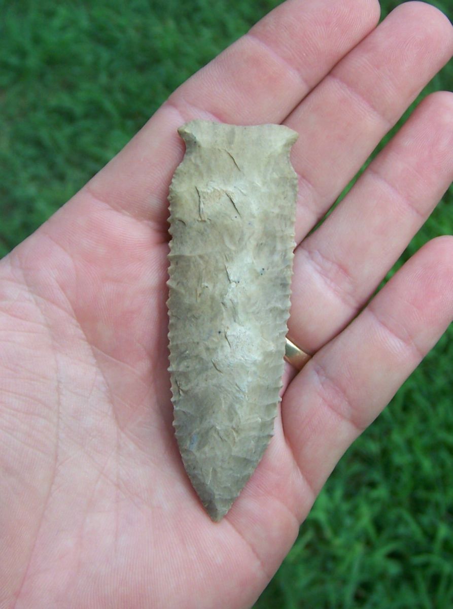 Killer Greenbrier Arrowhead