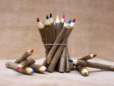  Tree Wooden Branch JUMBO COLORED PENCILS SuperHeroes Colors Art