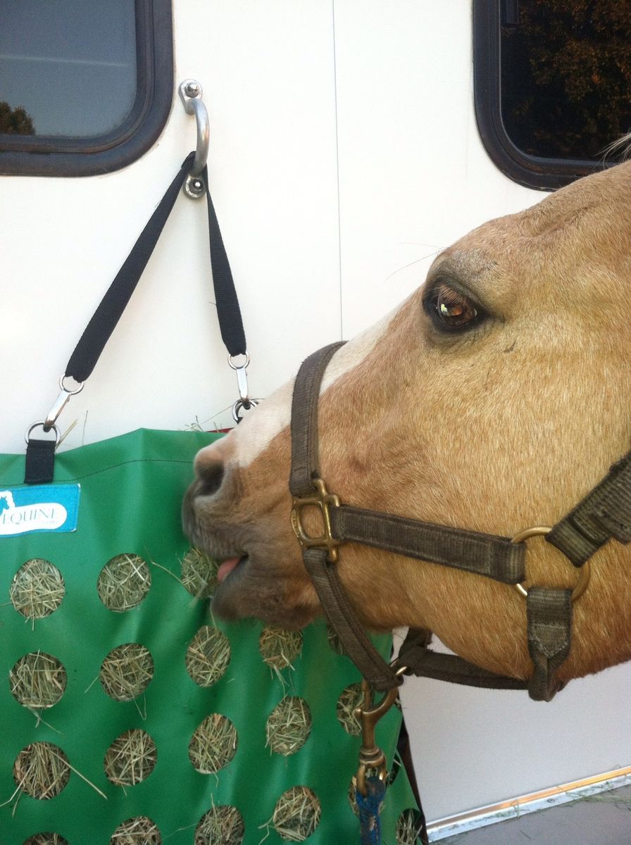 Holey Hay Bag Cowboy A Kelly Green Slow Feed Hay Bag by Tioga Equine