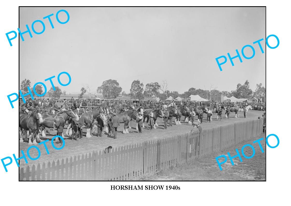 Large Photo of Old Horsham Show 1940s Draught Horses