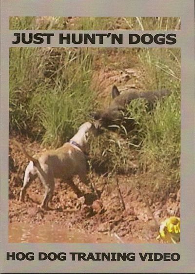 Bay DOG TRAINING ~ Hog ~ Wild Boar ~ Hunting DVD ~ NEW