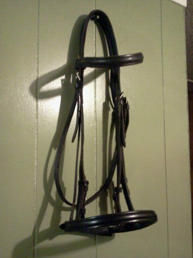 Used English Headstall and Caveson Horse Tack Bridle