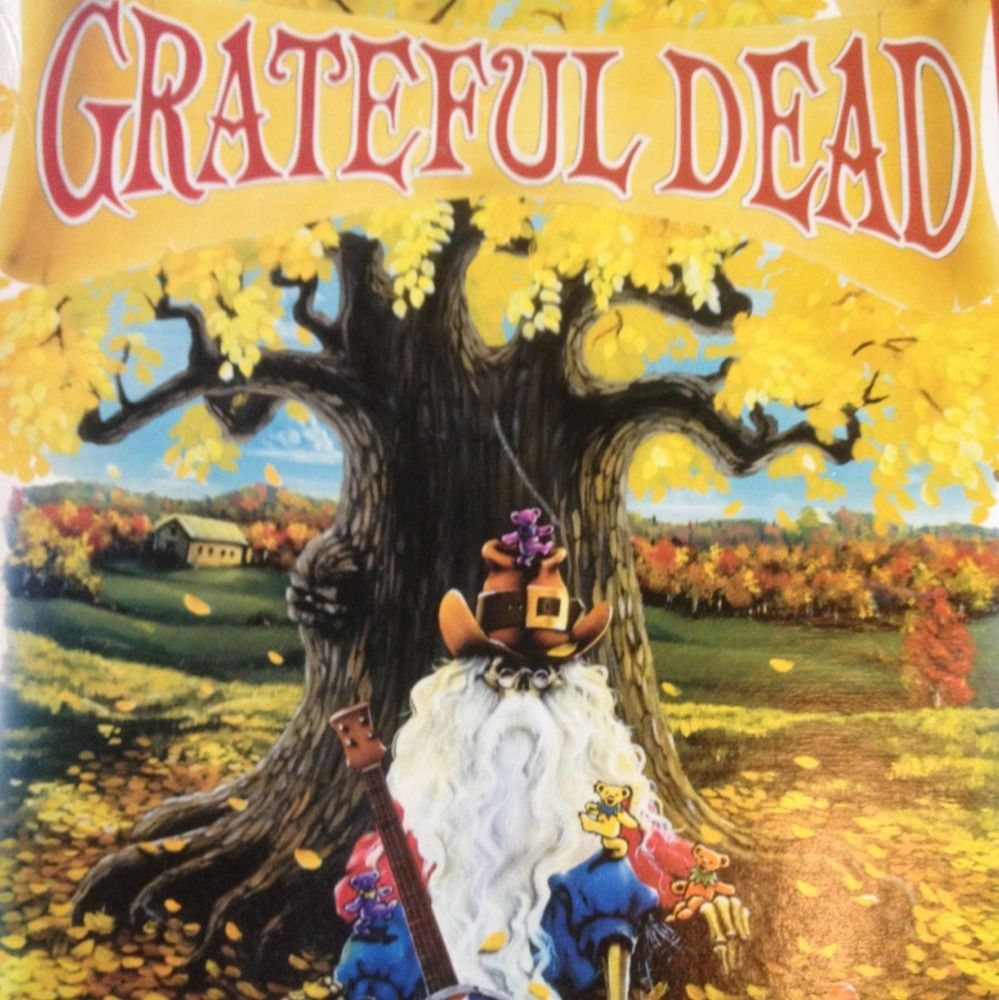  Dead Jigsaw Puzzle RARE Rip Van Winkle with Box Jerry Garcia