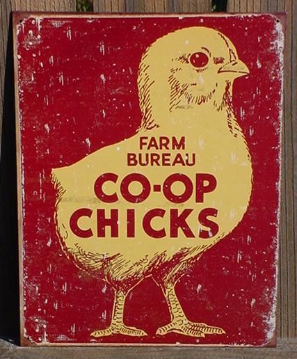 Chickens Chicks Co Op Rooster Farm Ranch Country Kitchen Vintage Metal