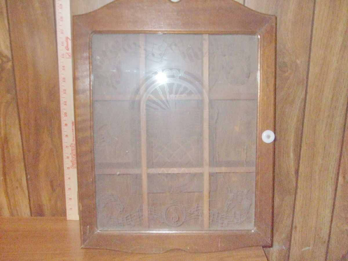 Large Curio Cabinet Jewelry Shadow box Display Case etched glass door