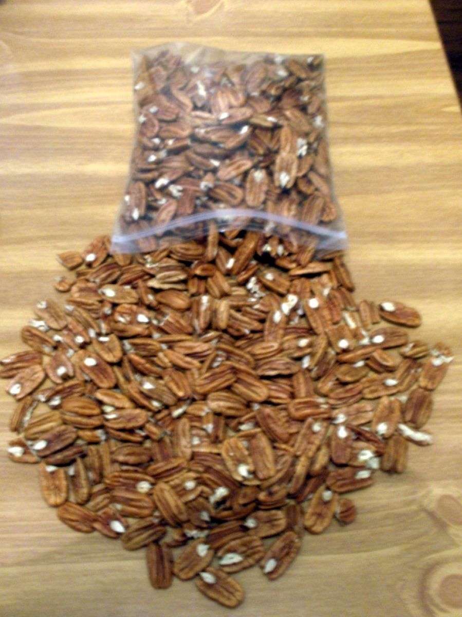 Middle Georgia Pecans 2012 Crop No Chemicals 1 Pound Plus Some