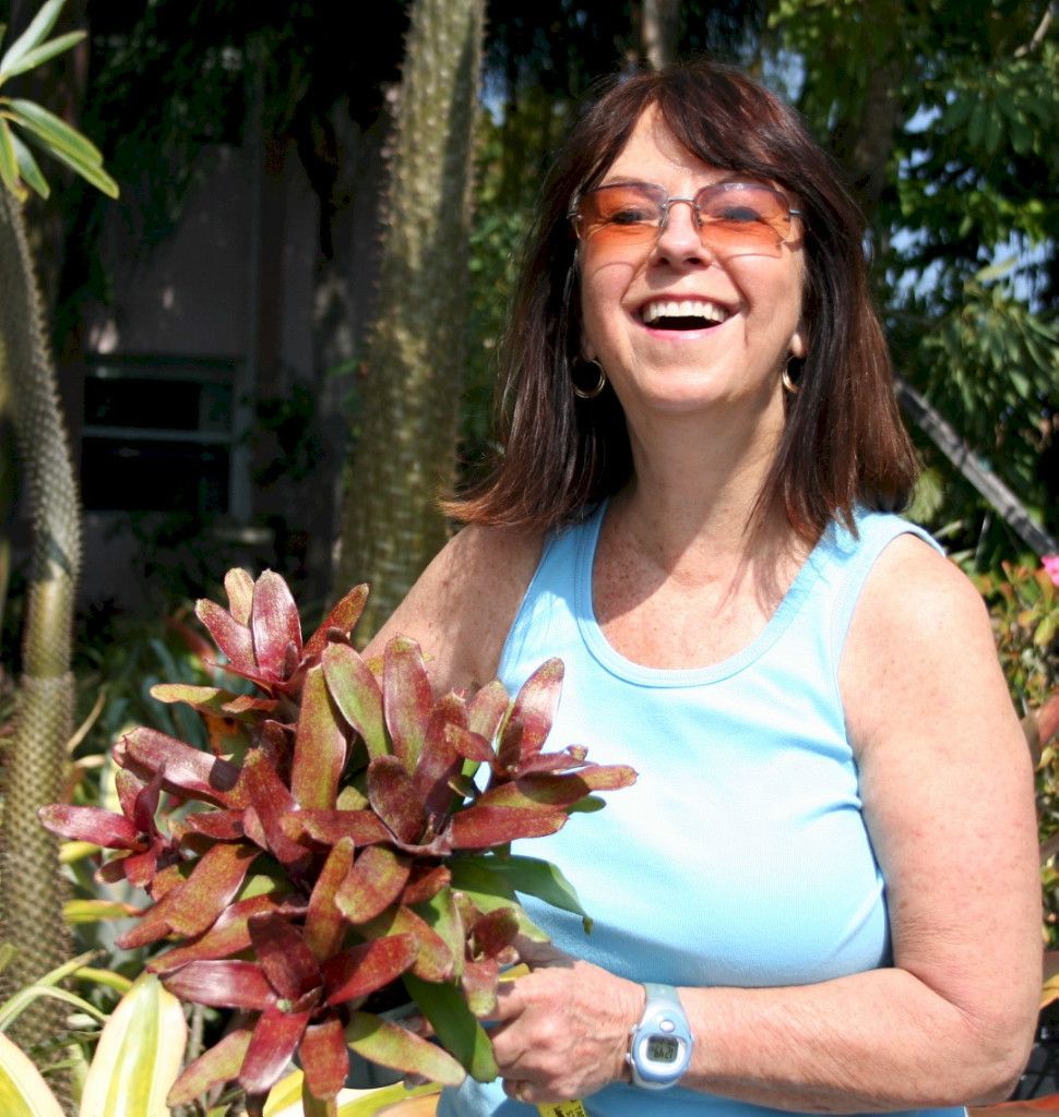 Bromeliads Neoregelia Mariposa or Red Waif Cluster of Cuties