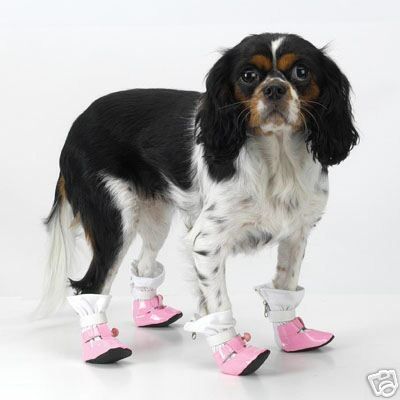 Dog s Patent Leather Mary Janes Boots Small