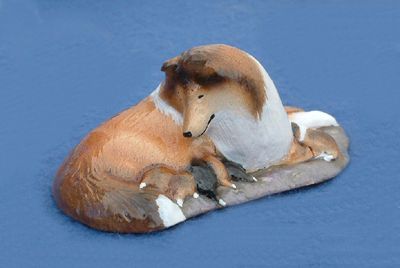 Rough Collie Sable with Pups