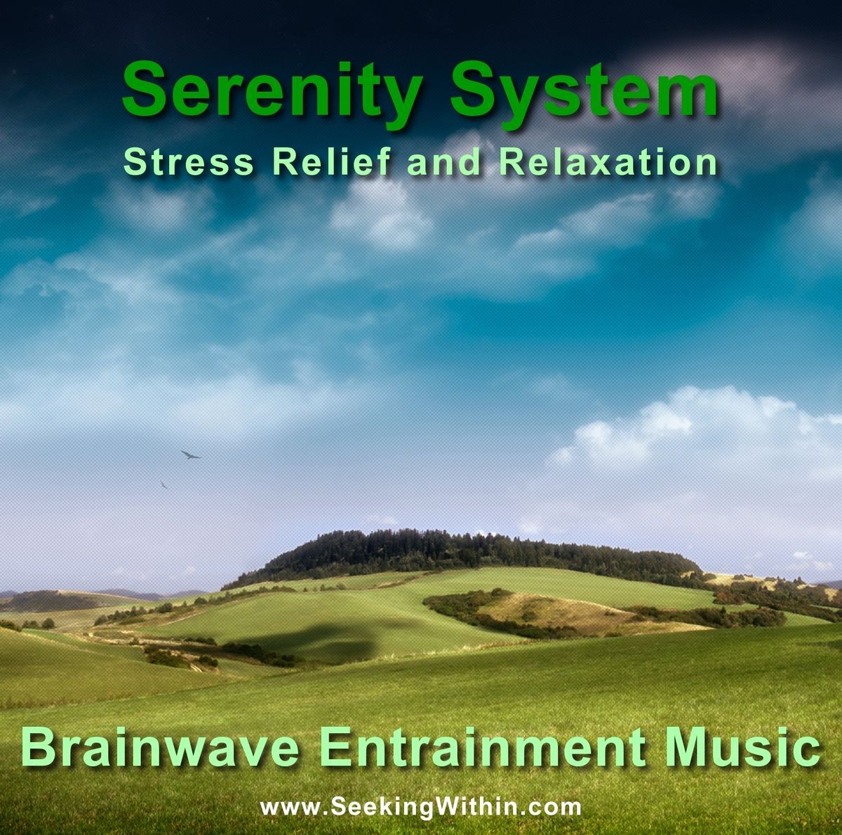 Stress Anxiety Relief Meditation Music CD Hemi Sync Holosync