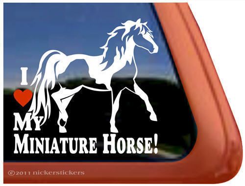 Love My Miniature Horse Pinto Miniature Horse Trailer Window Decal
