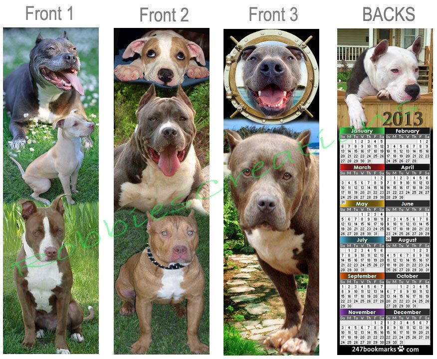 PIT BULL TERRIER 2013 CALENDAR Dog BOOKMARK book figurine card art