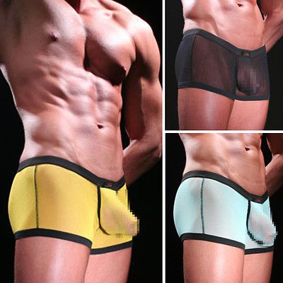 WJ Sexy Mens Smooth Mesh See thru Underwear Low waist Sexy Boxer