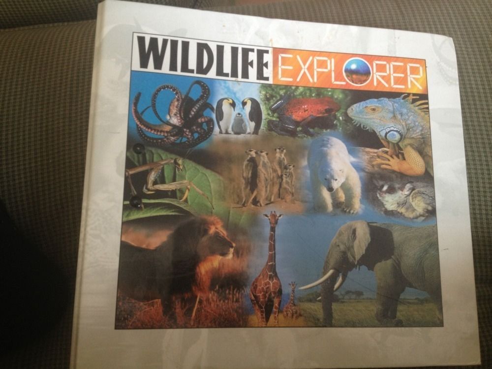 wildlife explorer