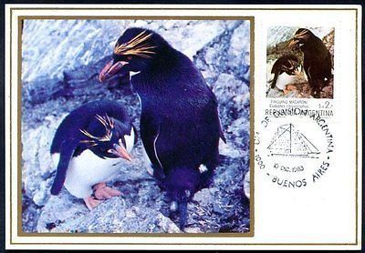 ARGENTINA   PENGUIN MACARONI MaximuM Card 1983 VF