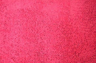 HOT PINK SHAG CARPET AREA RUG COLLEGE DORM CHILDS ROOM DECOR NEW WITH