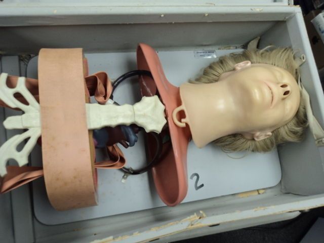 ANATOMIC ANNE TRAINING NURSING MEDICAL MANIKIN DUMMY