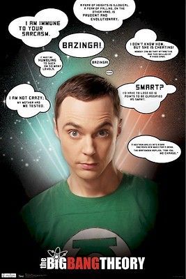 BIG BANG THEORY POSTER ~ SHELDON SARCASM QUOTES 22x34 TV Jim Parsons