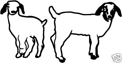 Boer Goat #6= Decals Farm Animal Window Stickers 6