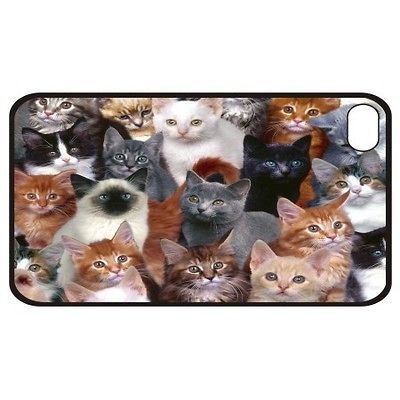 New Collection Of Kittens Hard Case Cover For Apple iPhone 4 4S
