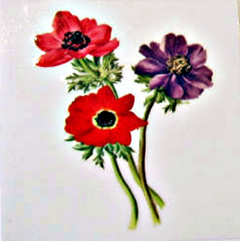 Poppy Flower Permanent Rub On Transfer Decal Glass Tiles Ceramic DT77