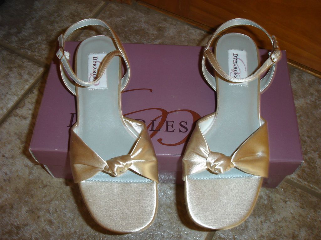 In Love Satin 1 Heel Bow and Buckle Shoe in Champagne Color Size 7